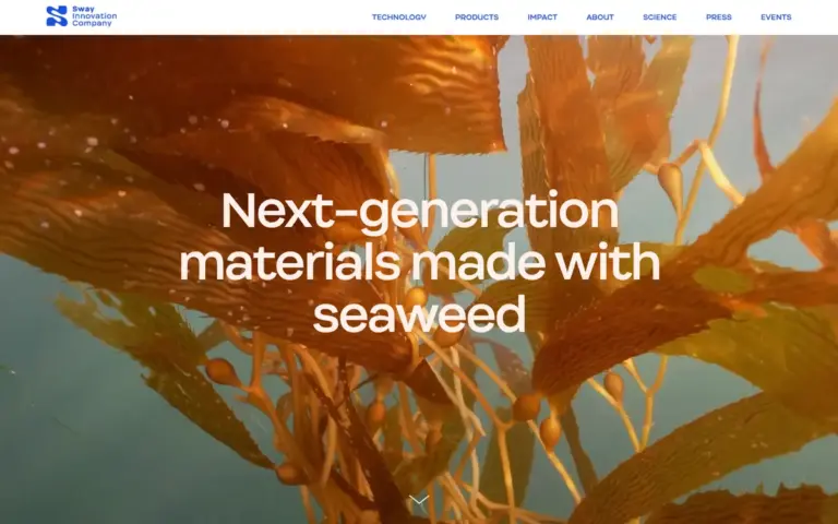 Sway 网站首页封面