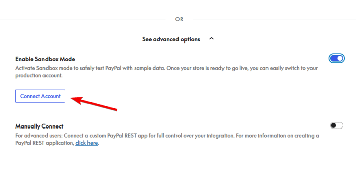 PayPal Payments 开启 Sandbox Mode 的真实截图